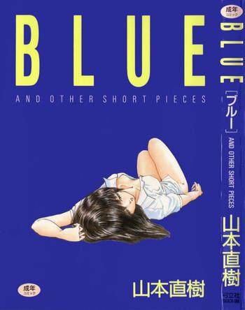 blue cover 1