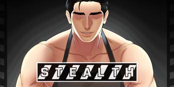 stealth cover