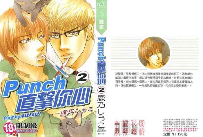 punch 2 2 cover