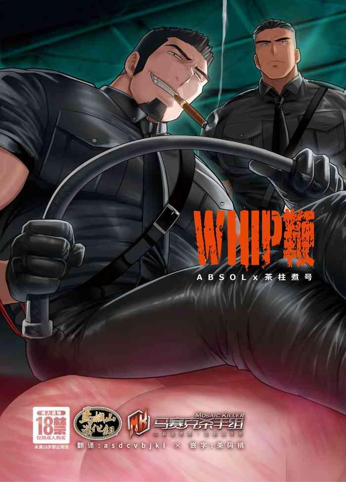 whip cover