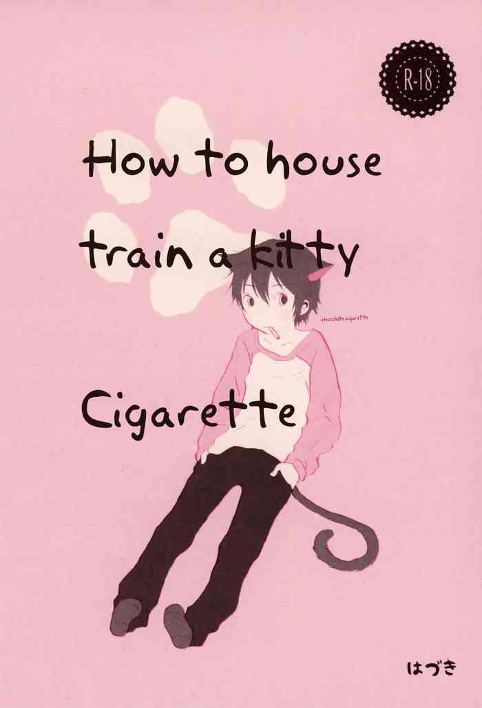 heya o yogosu neko no shitsukekata cigarette how to house train a kitty cigarette cover