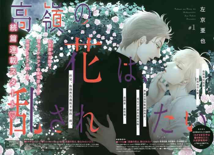 takane no hana wa midasaretai 01 02 cover