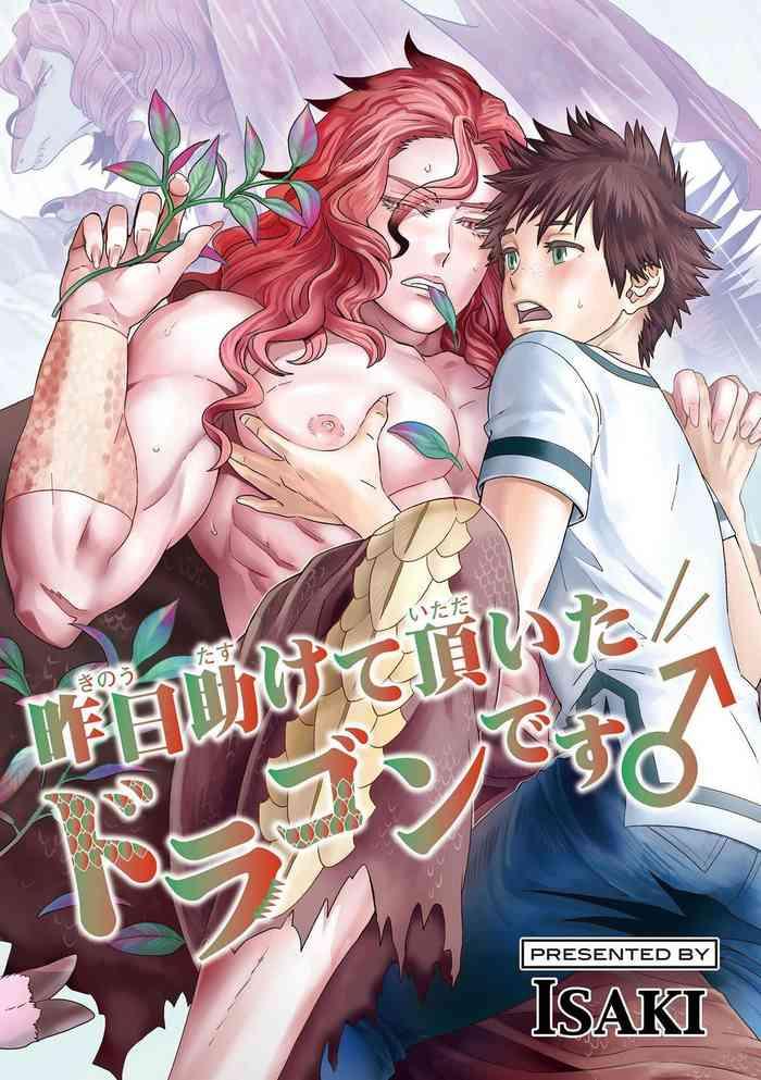 kinou tasukete itadaita dragon desu 1 2 cover