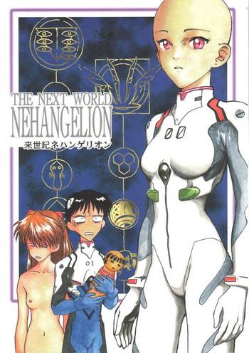 shin seiki nehangelion cover