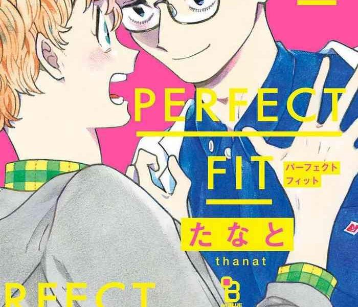 perfect fit ch 1 cover