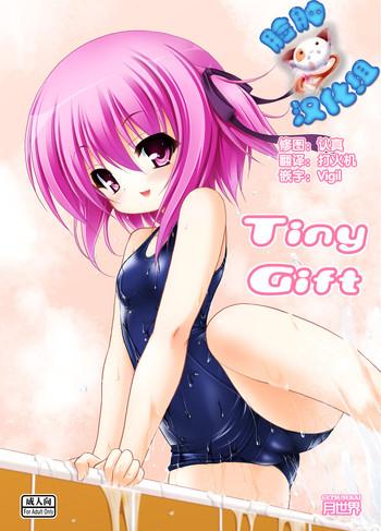 tiny gift cover